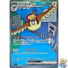 Pidgeot ex