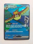 Pidgeot ex