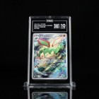 Flygon