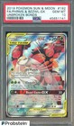 Pheromosa & Buzzwole GX