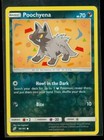 Poochyena