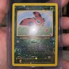 Ledyba