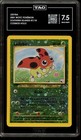 Ledyba