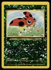Ledyba