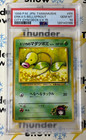 Erika's Bellsprout