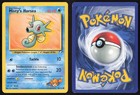 Misty's Horsea