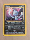 Sneasel
