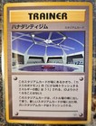 Cerulean City Gym