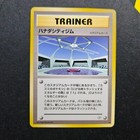 Cerulean City Gym