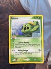 Cacnea