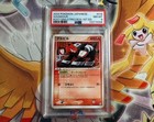 Houndour