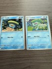 Lotad