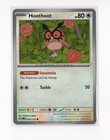 Hoothoot