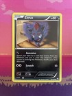 Zorua