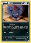 Zorua