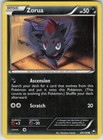 Zorua
