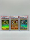 Treecko