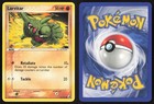 Larvitar