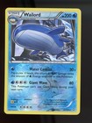 Wailord