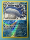 Wailord