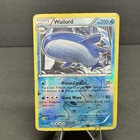 Wailord