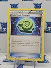 Helix Fossil Omanyte
