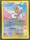 Cinccino