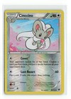 Cinccino
