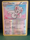 Cinccino