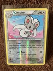 Cinccino