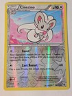 Cinccino