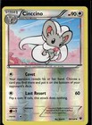 Cinccino