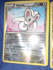 Cinccino
