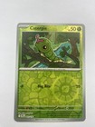 Caterpie