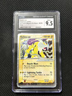 Raikou EX