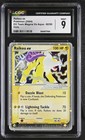 Raikou EX