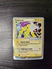 Raikou EX