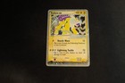 Raikou EX