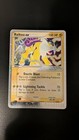 Raikou EX