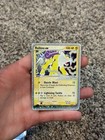 Raikou EX