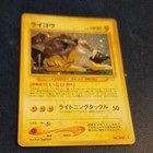 Raikou