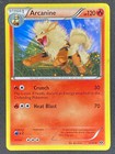 Arcanine