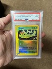 Caterpie