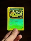 Caterpie