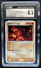 Groudon 