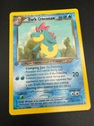 Dark Croconaw