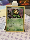 Sunflora