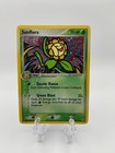 Sunflora