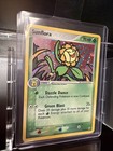 Sunflora