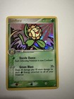 Sunflora